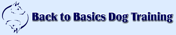 Back to Basics Dog Training